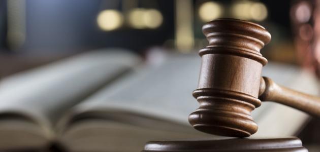 وزير العدل يشكل 3 لجان متخصصة لتعزيز كفاءة الخبرة القضائية وزير العدل يشكل 3 لجان متخصصة لتعزيز كفاءة الخبرة القضائية