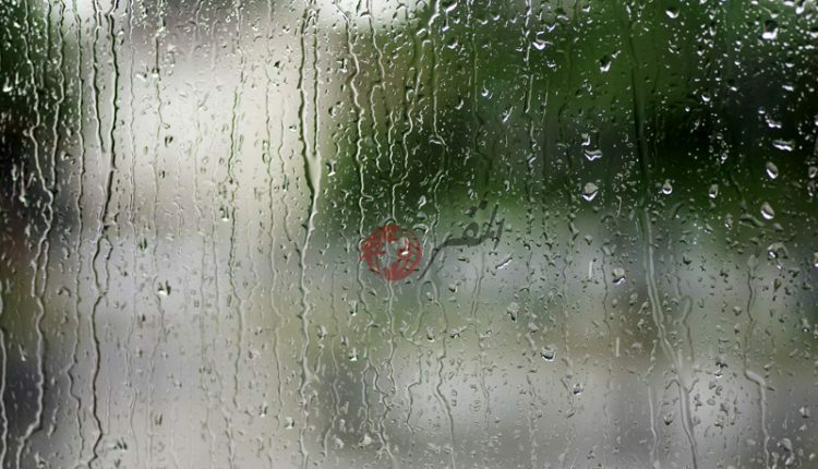 وزير الزراعة: الموسم المطري الحالي يرفع جاهزية المحاصيل