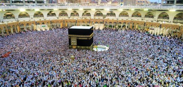 بدء التسجيل الأولي للحج الأحد المقبل بدء التسجيل الأولي للحج الأحد المقبل