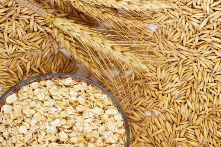 عطاء لشراء كميات من الشعير عطاء لشراء كميات من الشعير