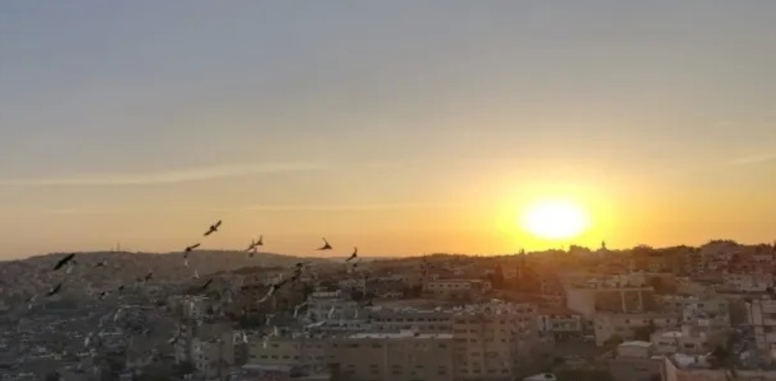 الانقلاب الصيفي يصادف السبت 21 الشهر الحالي الانقلاب الصيفي يصادف السبت 21 الشهر الحالي