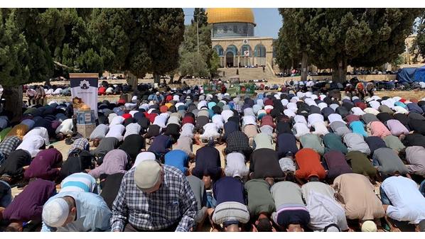 45 ألفا يؤدون صلاة الجمعة في المسجد الأقصى 45 ألفا يؤدون صلاة الجمعة في المسجد الأقصى