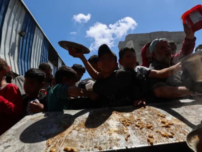 في غضون 24 ساعة.. وفاة 7 فلسطينيين بسبب المجاعة في غزة في غضون 24 ساعة.. وفاة 7 فلسطينيين بسبب المجاعة في غزة