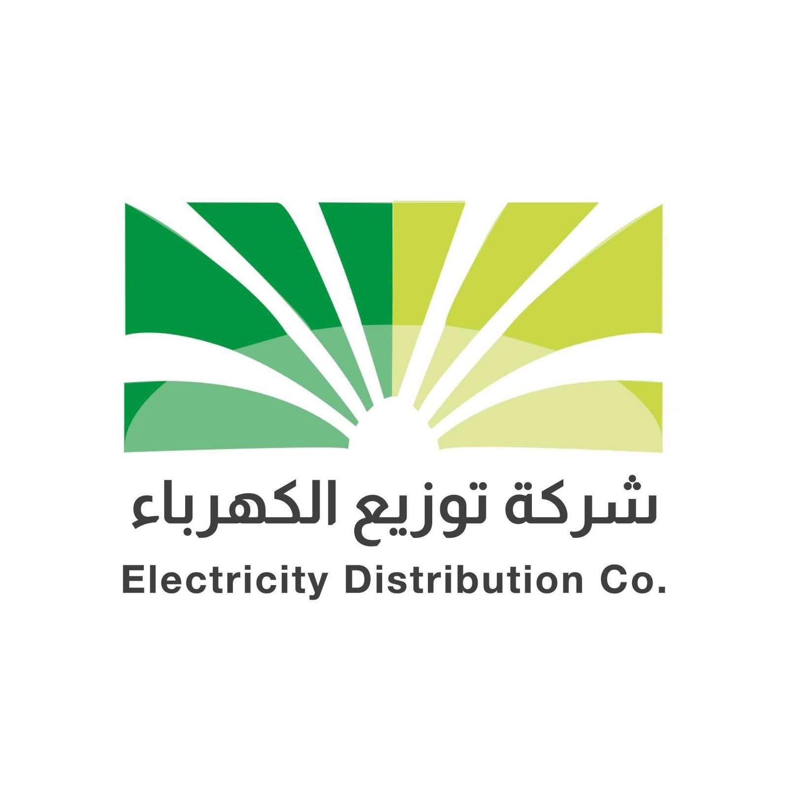 شركة توزيع الكهرباء تخصص 5% من أرباحها لمشروع المسؤولية المجتمعية الحكومي شركة توزيع الكهرباء تخصص 5% من أرباحها لمشروع المسؤولية المجتمعية الحكومي