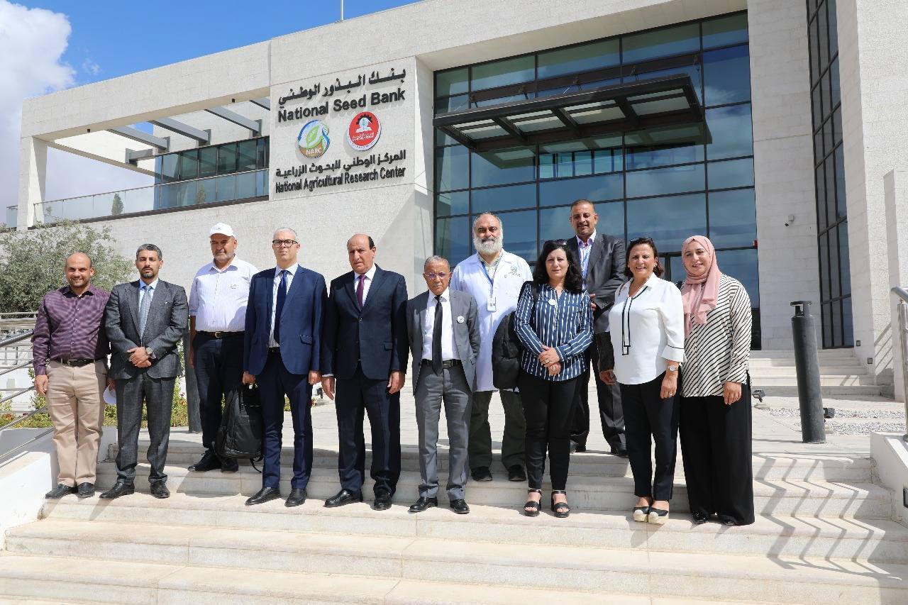 بحث التعاون الأردني التونسي في بحوث القمح والشعير والحمضيات بحث التعاون الأردني التونسي في بحوث القمح والشعير والحمضيات