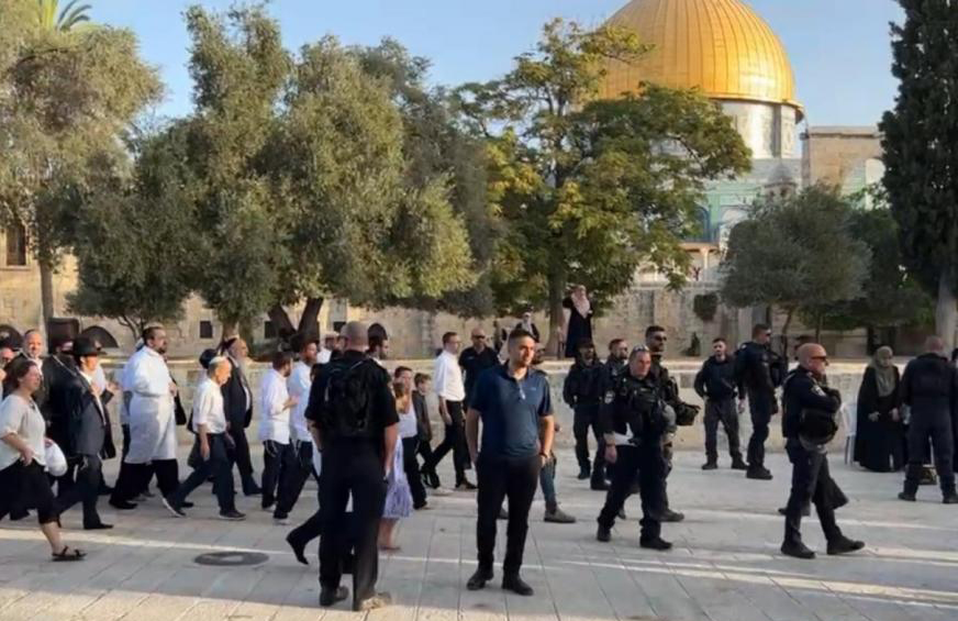 مستوطنون يخططون لاقتحامات واسعة لباحات “الأقصى” مستوطنون يخططون لاقتحامات واسعة لباحات “الأقصى”