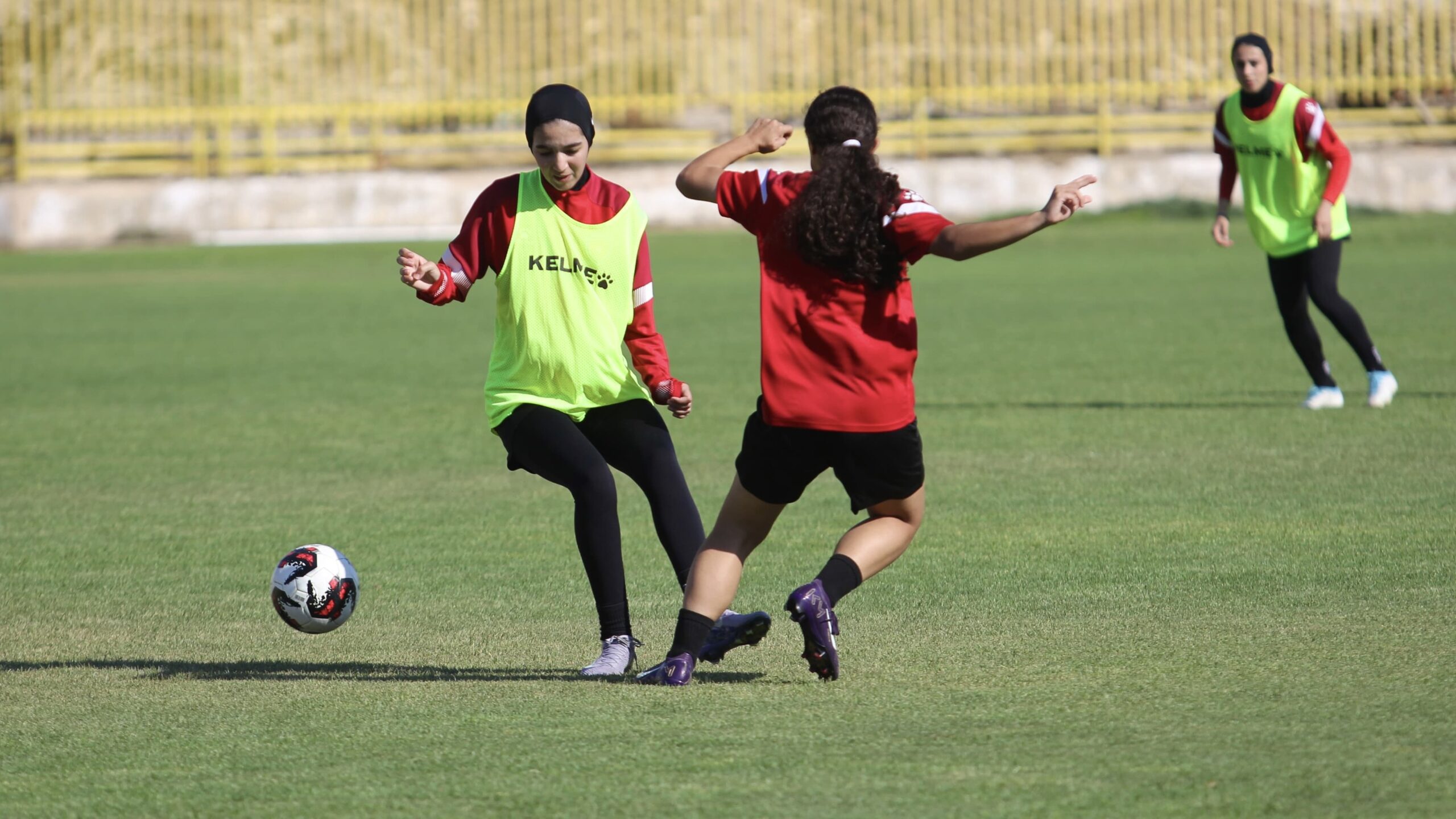 Sorry! Image not available at this time