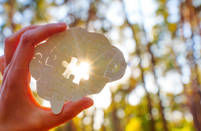 Sorry! Image not available at this time