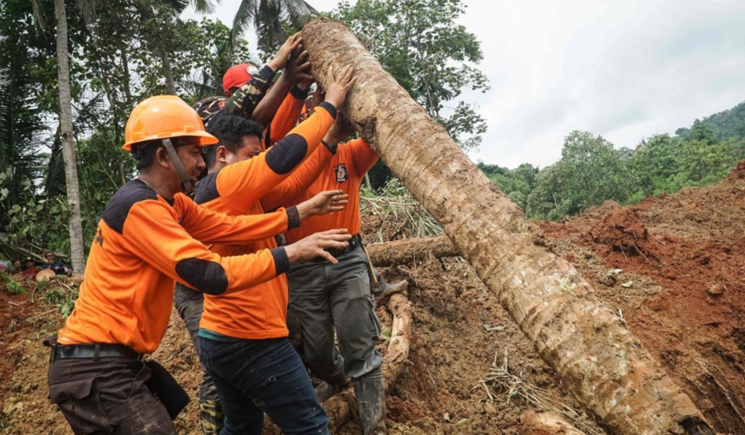 Sorry! Image not available at this time