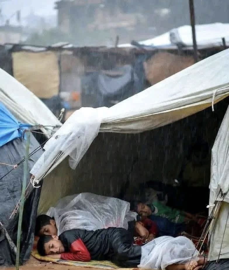 مركز حقوقي: إسرائيل قتلت 130 طفلا و54 امرأة منذ وقف إطلاق النار بغزة مركز حقوقي: إسرائيل قتلت 130 طفلا و54 امرأة منذ وقف إطلاق النار بغزة