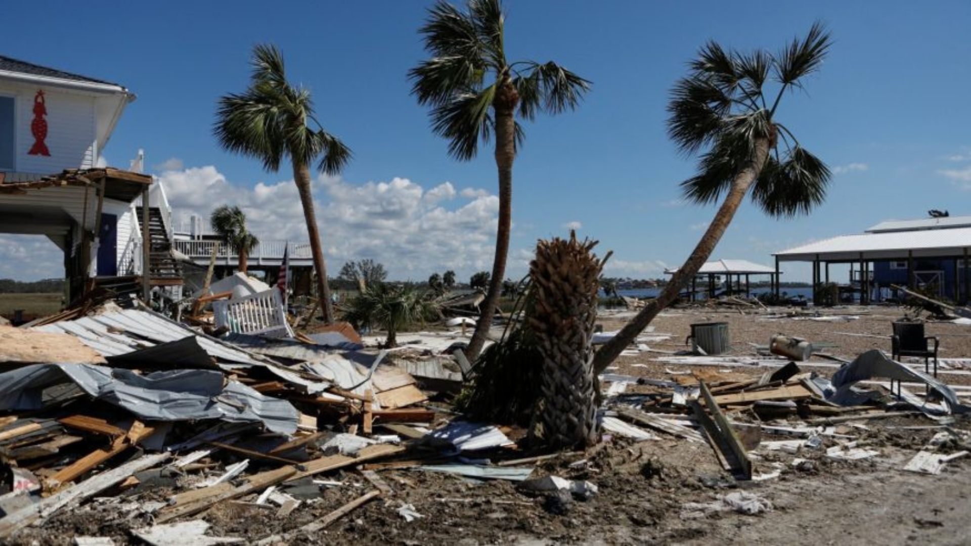 Sorry! Image not available at this time