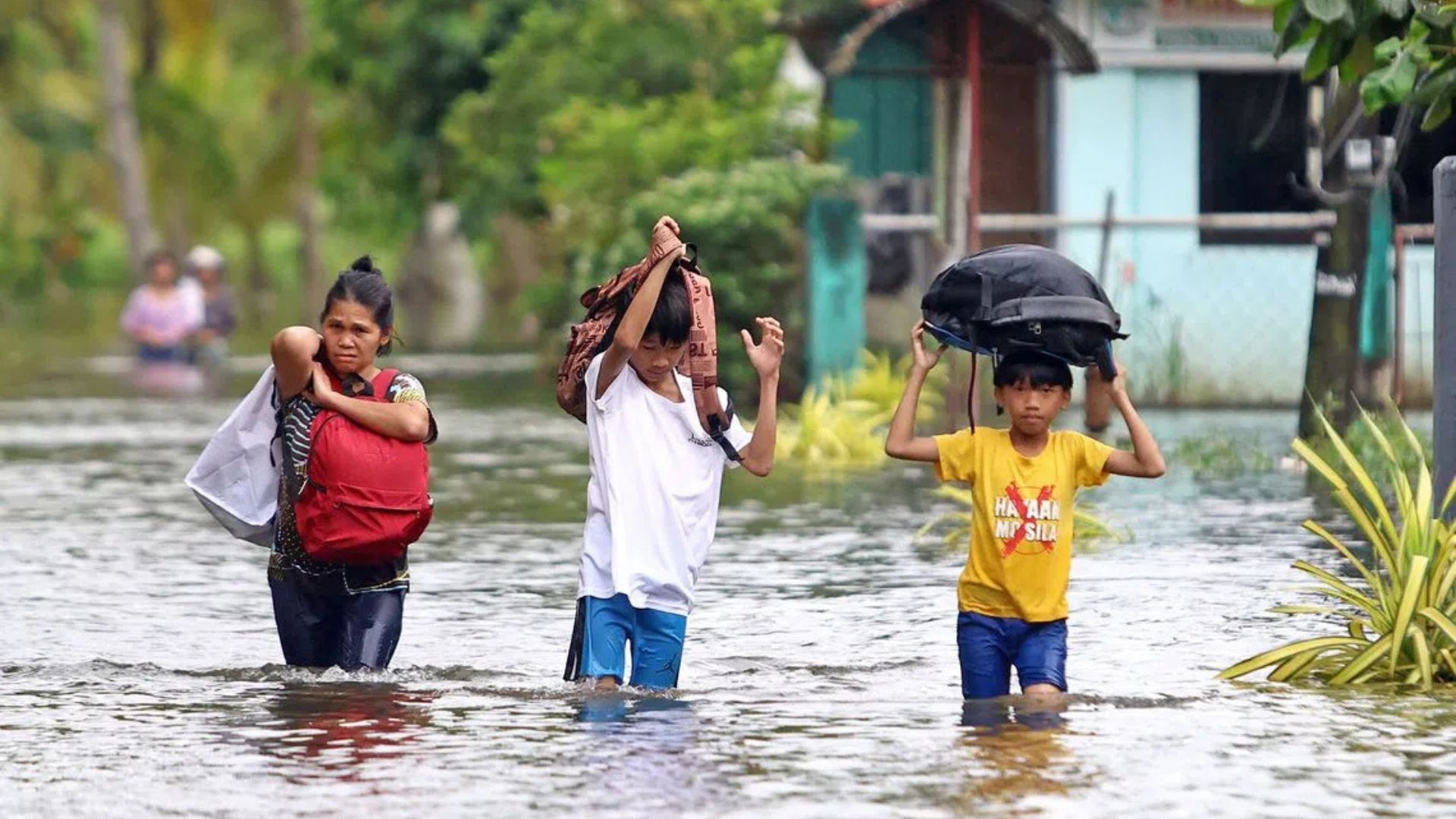 Sorry! Image not available at this time