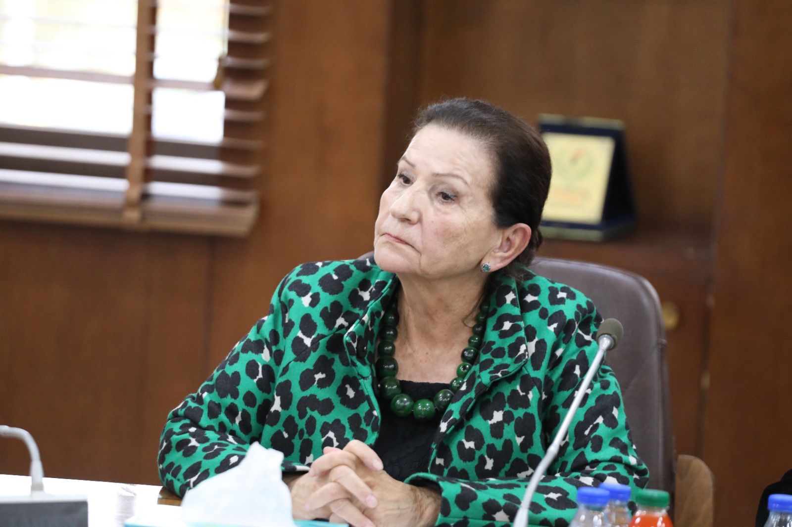 العودات: التشريعات الناظمة للحياة السياسية عززت حضور المرأة في العمل الحزبي والنيابي