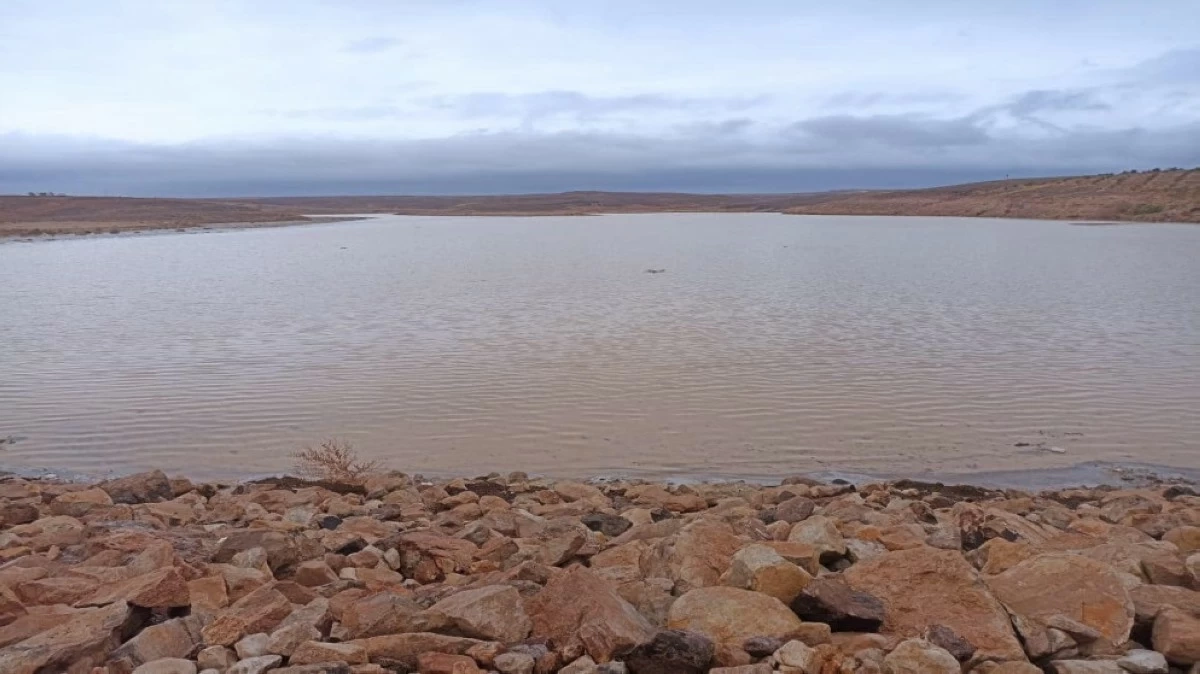 “وادي الأردن”: لم تسجل مشكلات فنية أو خطورة في سد الوحيدي عند فيضانه “وادي الأردن”: لم تسجل مشكلات فنية أو خطورة في سد الوحيدي عند فيضانه