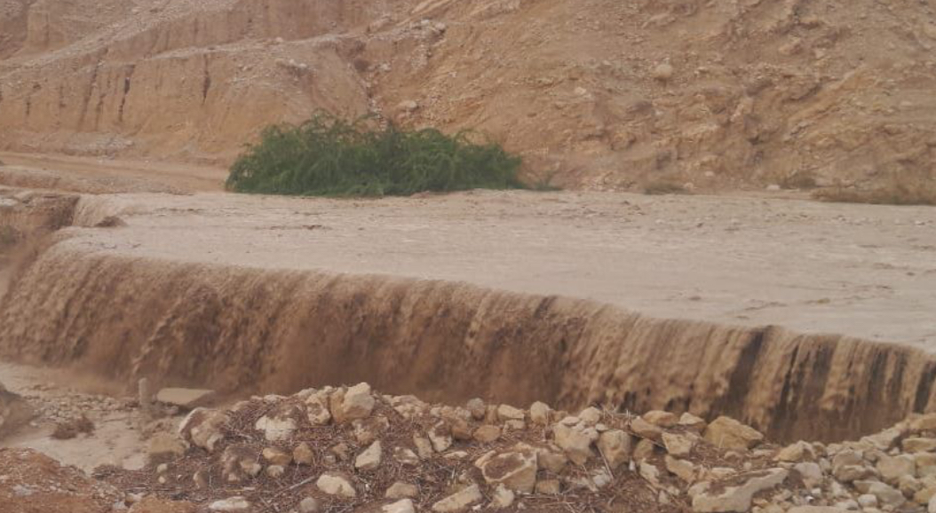 المياه: 3.6 مليون متر مكعب دخلت السدود وارتفاع الموسم المطري إلى 12.5 %