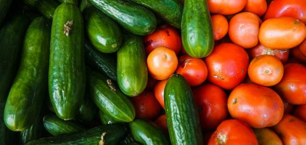 الزراعة تعلّق تصدير البندورة والخيار إلى جميع المقاصد من 10 إلى 20 آذار