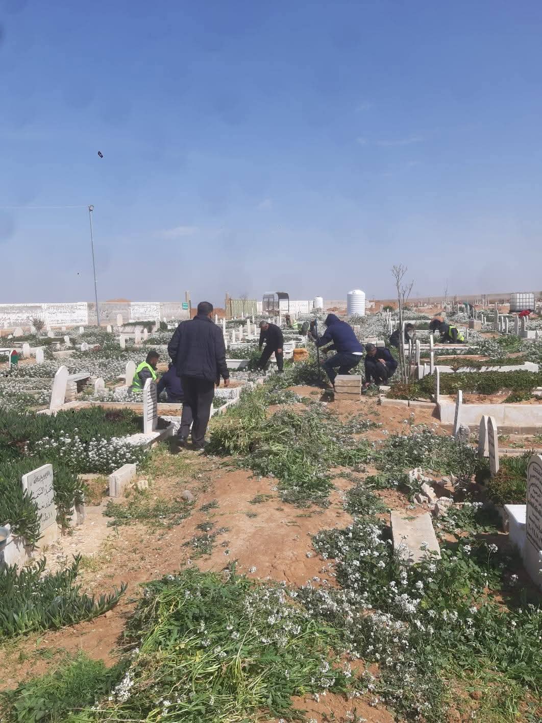 بلدية مادبا الكبرى تنفذ حملة صيانة في المقابر والحدائق