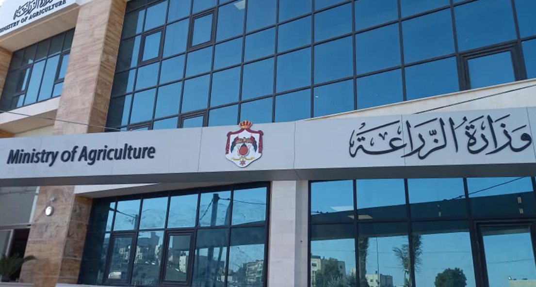 “الزراعة”: استقرار قطاع الدواجن ووفرة اللحوم الحمراء