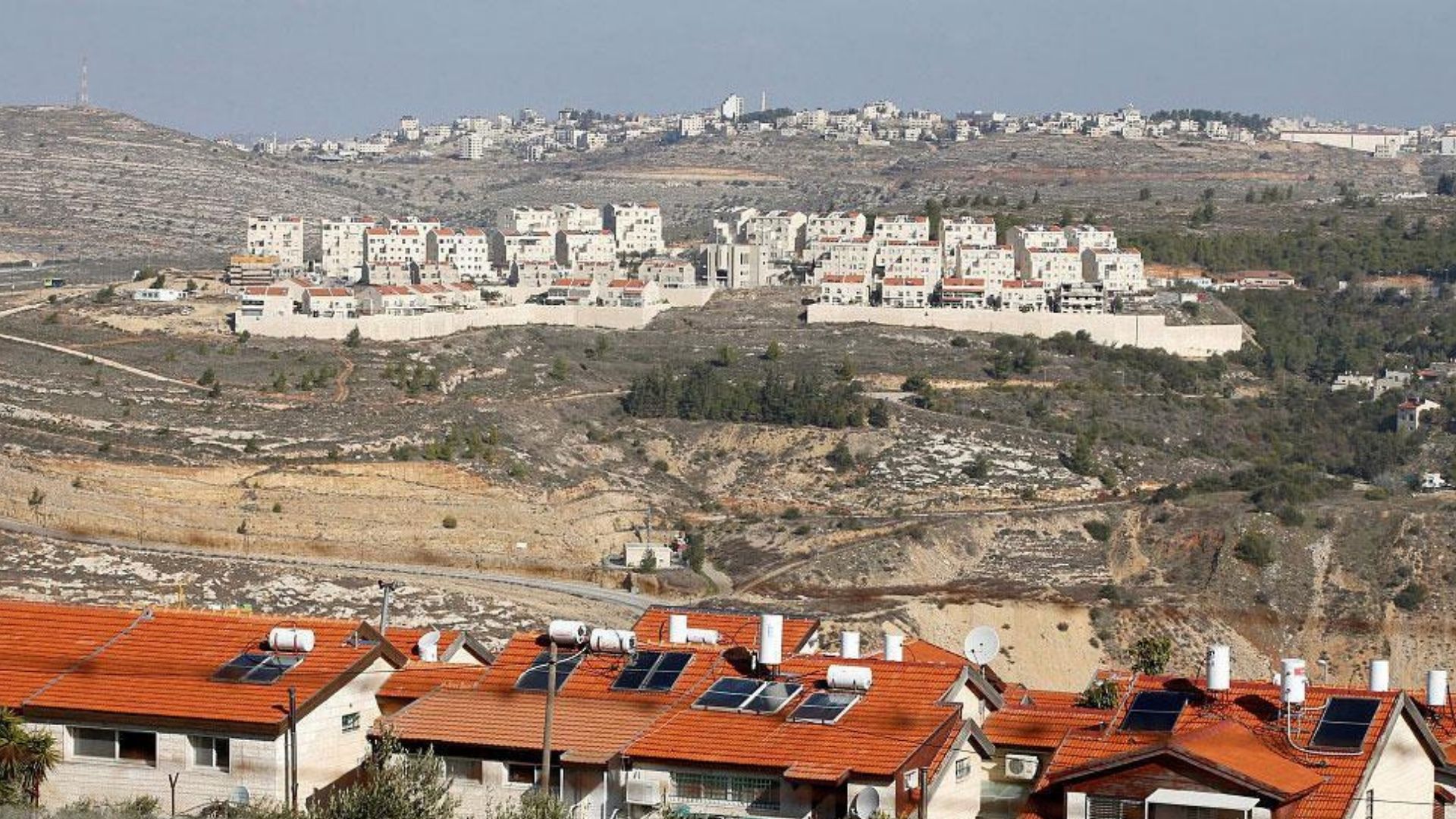 مستوطنون يقيمون بؤرة استعمارية جديدة في أريحا واعتقال 15 فلسطينيا​ 